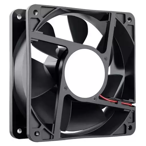 Fan