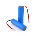18650 Battery 3.7V 2200mAh With Wire and JST Connector