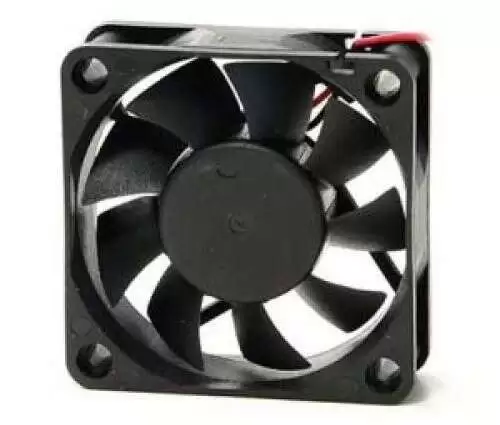 Fan