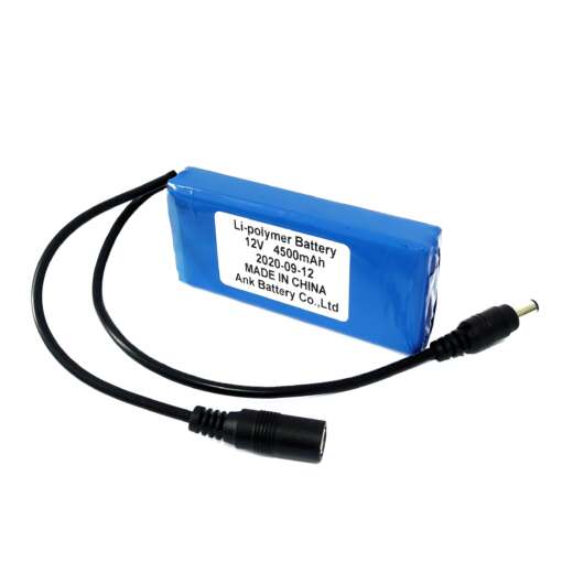 Li-Polymer Battery 12V 3000mAh with Dc Jack connector