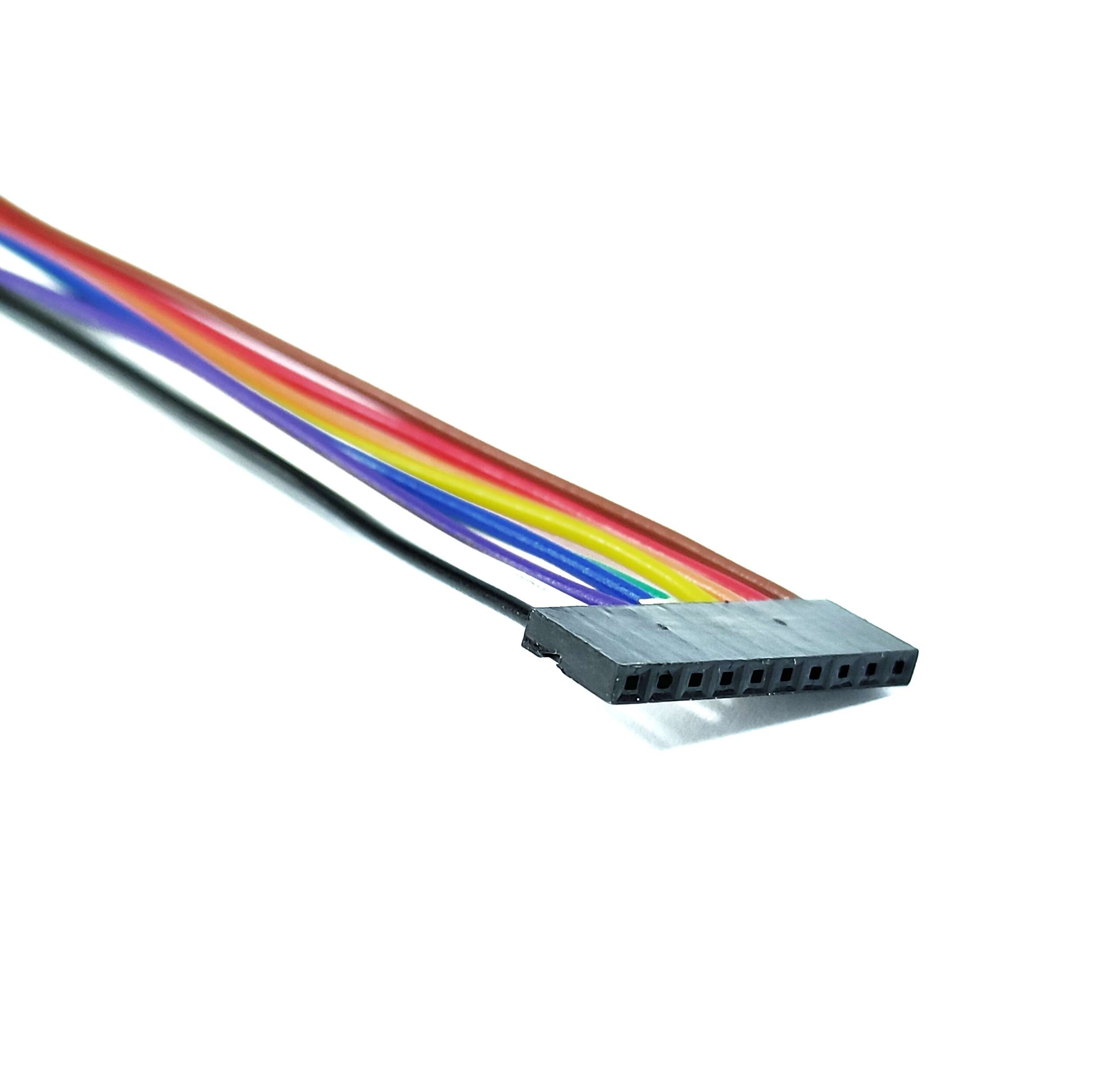 Data Cable JST 10-pin 15cm 2mm | Makers Electronics