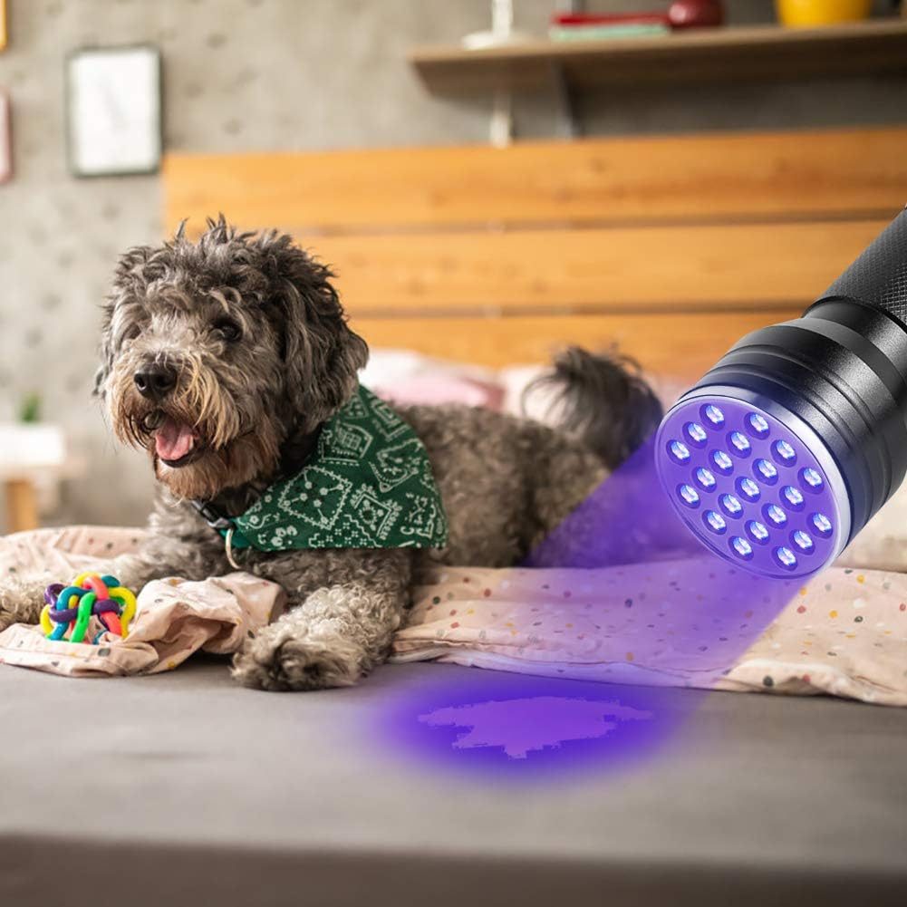 UV Flashlight Torch with 21 LEDs - Image 7