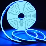 Neon Flexible LED Strip Light 5M (Blue) 12VDC