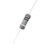 Carbon Resistor 10Ω 1W Through Hole