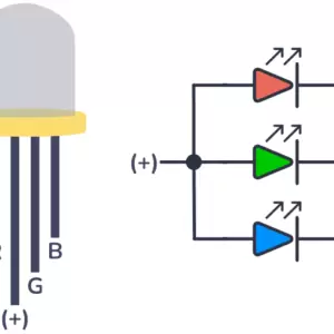 RGB Diffused LED Common Anode 5mm - Image 2