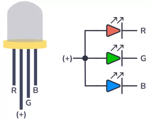 RGB Diffused LED Common Anode 5mm - Image 2