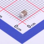 Multilayer Ceramic Capacitors MLCC - SMD/SMT 100nF ±10% 100V X7R 1206