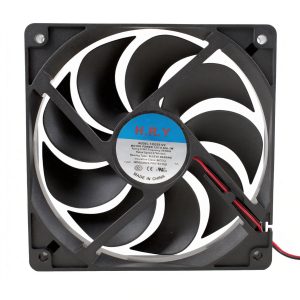 Fan