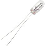 Orange Transparent LAMP 5mm 12V