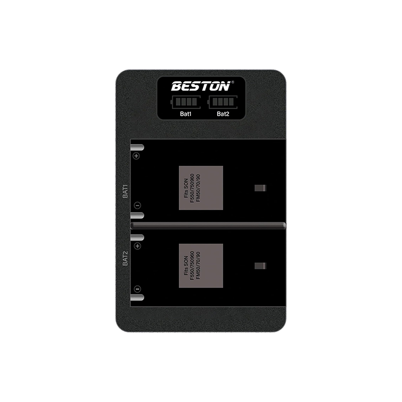 BESTON F970 Dual LCD Battery Charger for Sony Cameras with Micro USB &amp; Type-C Charging Port
