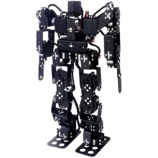 Humanoid Robot