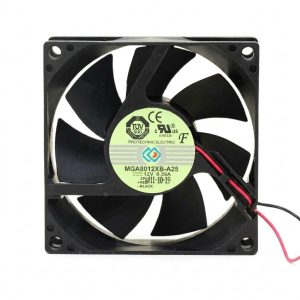 Fan