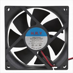 Fan