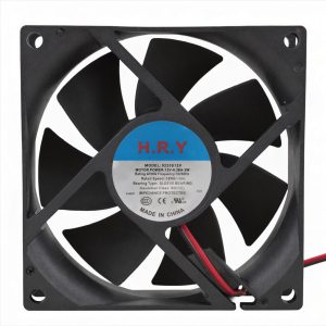 Fan