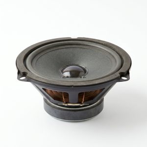 Speaker 4Ω