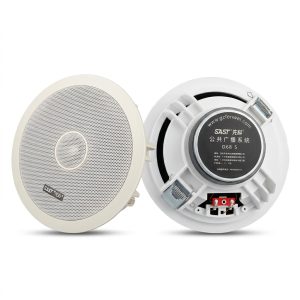 Ceiling Speaker